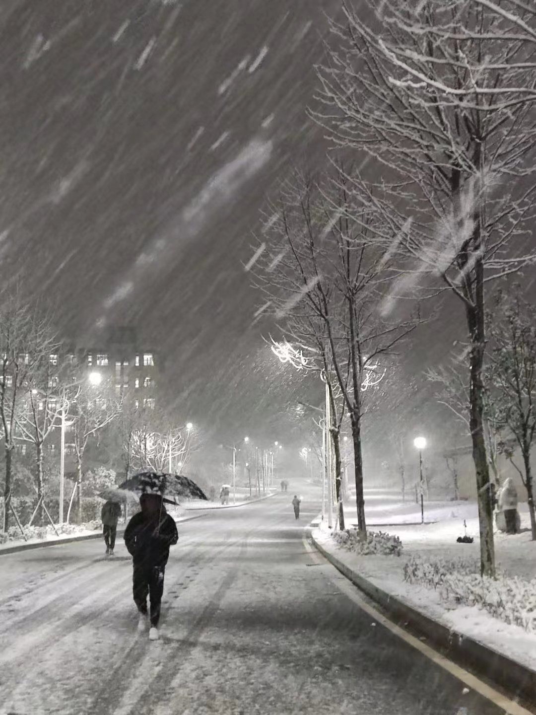 Z课网，能做什么？